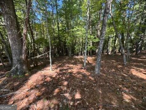 Lot 1 Laurelwood Circle Murphy NC 28906