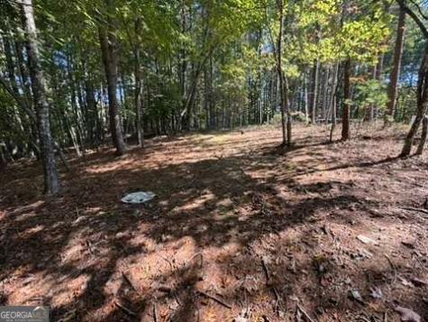 Lot 1 Laurelwood Circle Murphy NC 28906
