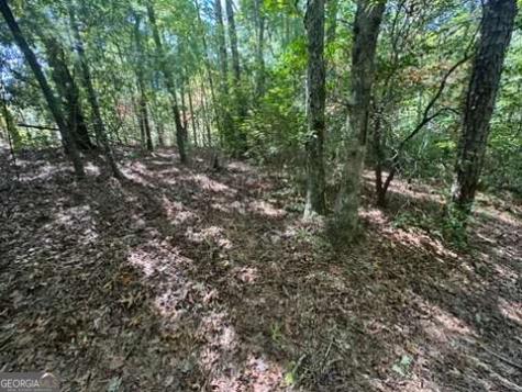 Lot 1 Laurelwood Circle Murphy NC 28906