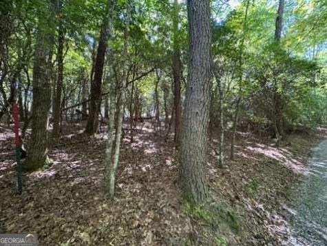 Lot 1 Laurelwood Circle Murphy NC 28906