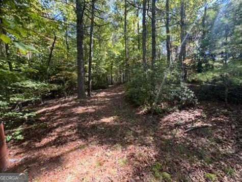 Lot 1 Laurelwood Circle Murphy NC 28906