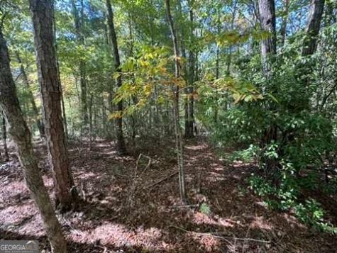 Lot 1 Laurelwood Circle Murphy NC 28906