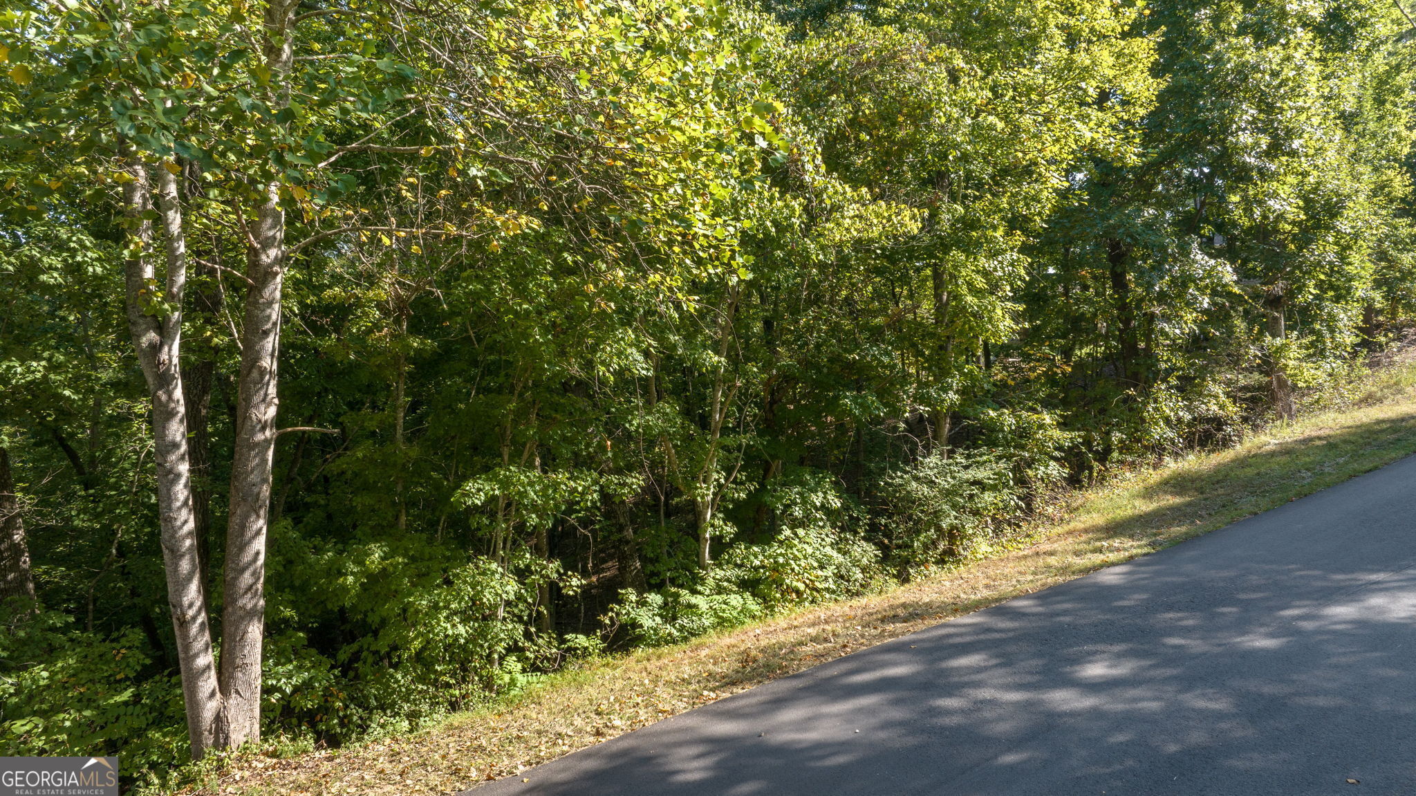 0 Gold Crest Drive Dahlonega GA 30533
