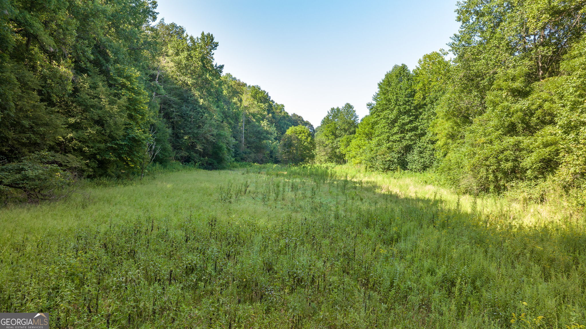 0 Gold Crest Drive Dahlonega GA 30533