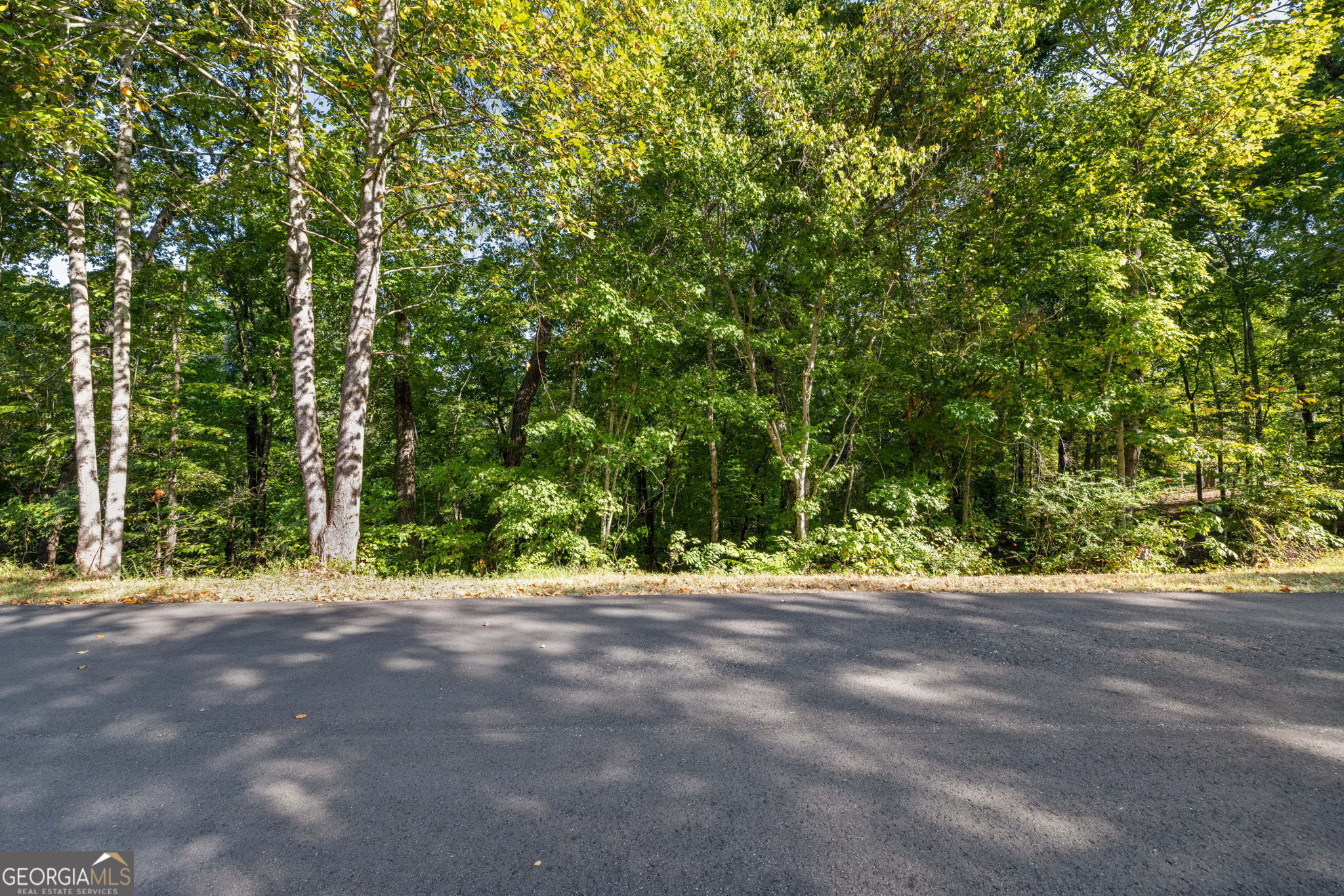 0 Gold Crest Drive Dahlonega GA 30533