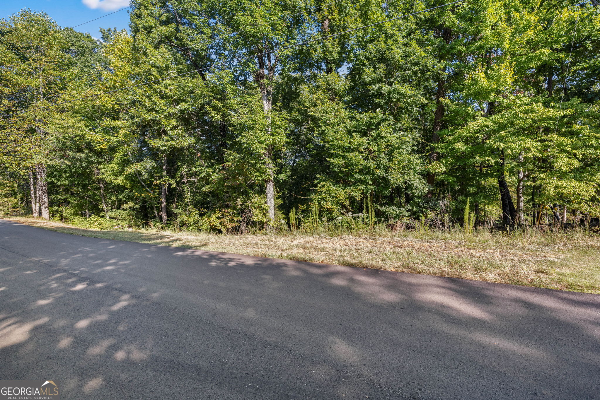 0 Gold Crest Drive Dahlonega GA 30533