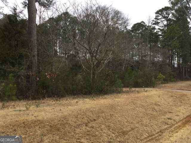 3771 Highway 34 Sharpsburg GA 30277