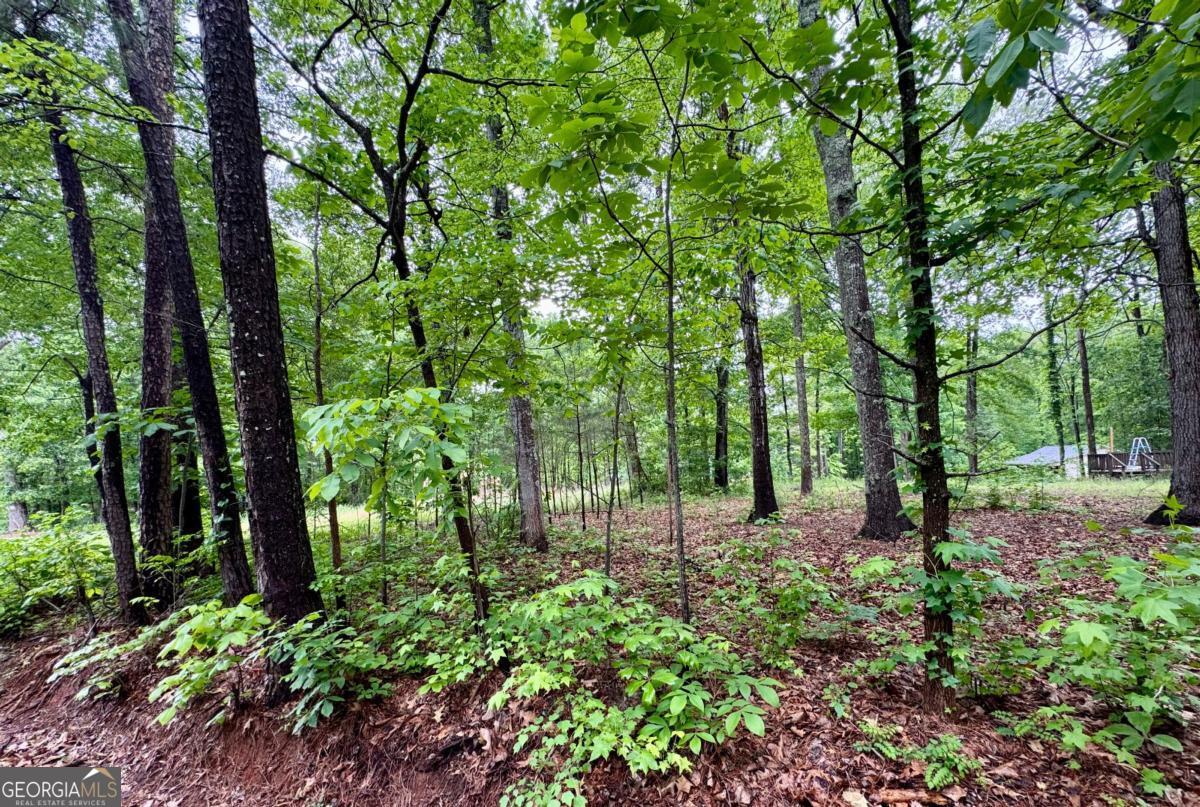 126 Mccready Drive Dallas GA 30157