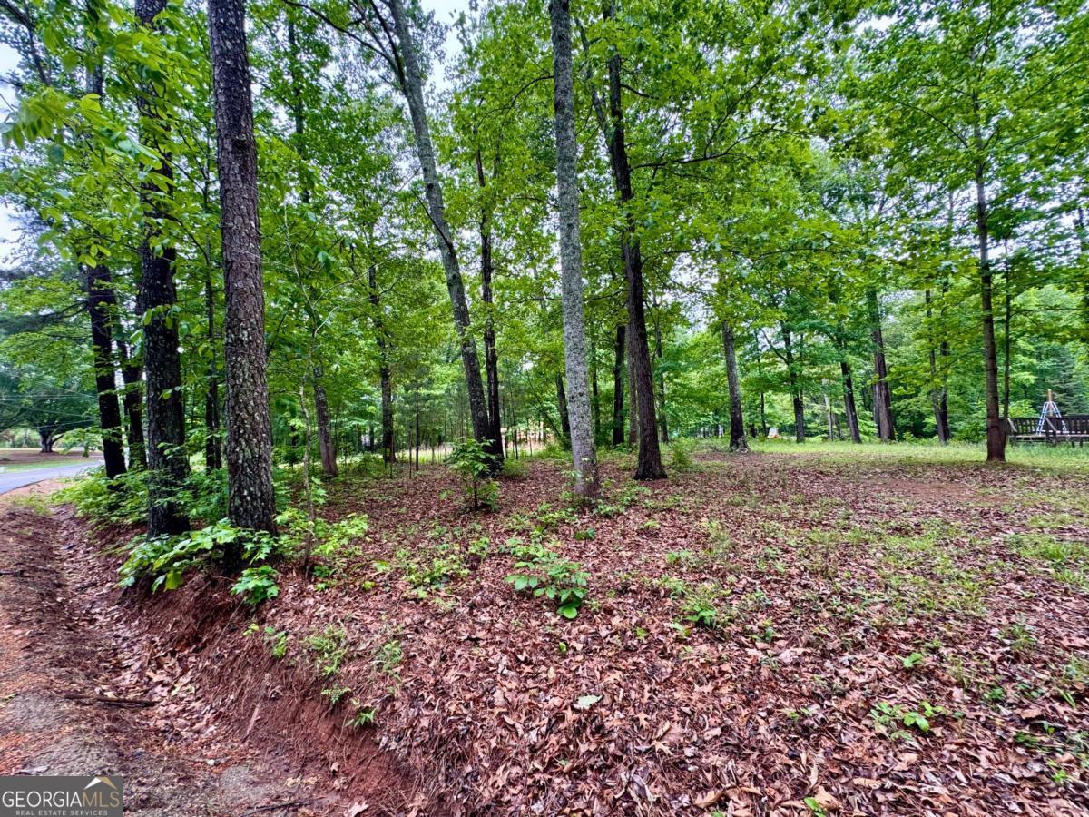 126 Mccready Drive Dallas GA 30157