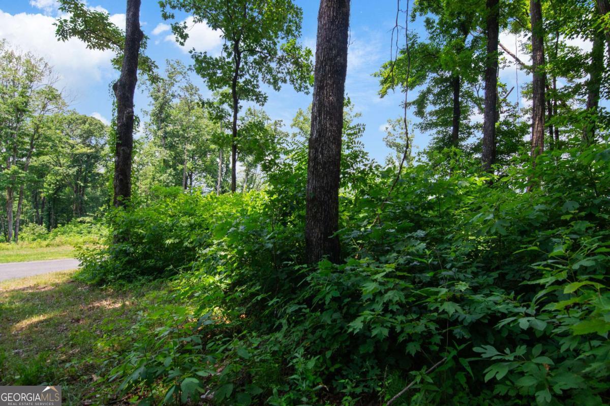 Lot 56 High Summit Drive Talking Rock GA 30175