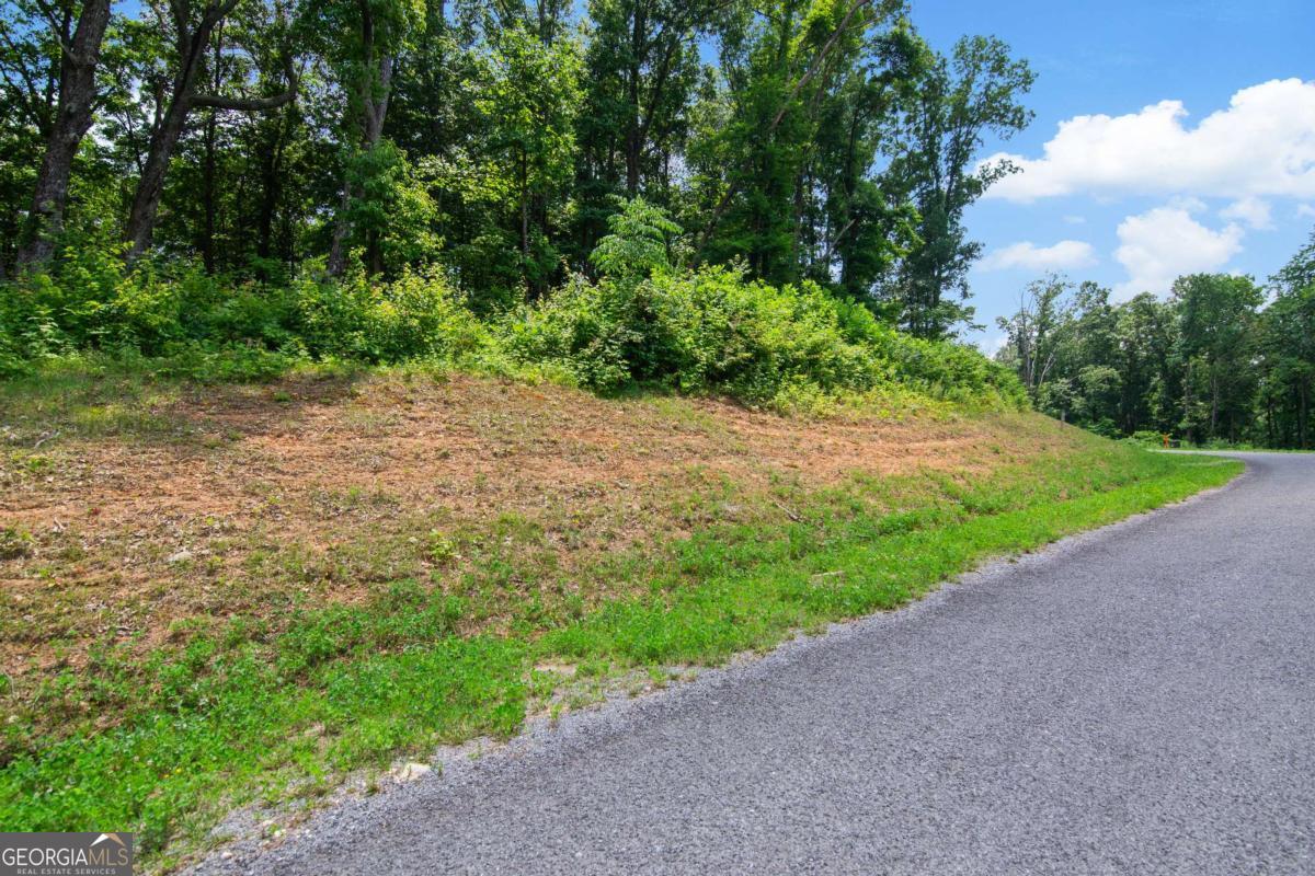 Lot 56 High Summit Drive Talking Rock GA 30175