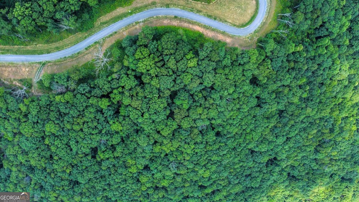 Lot 56 High Summit Drive Talking Rock GA 30175