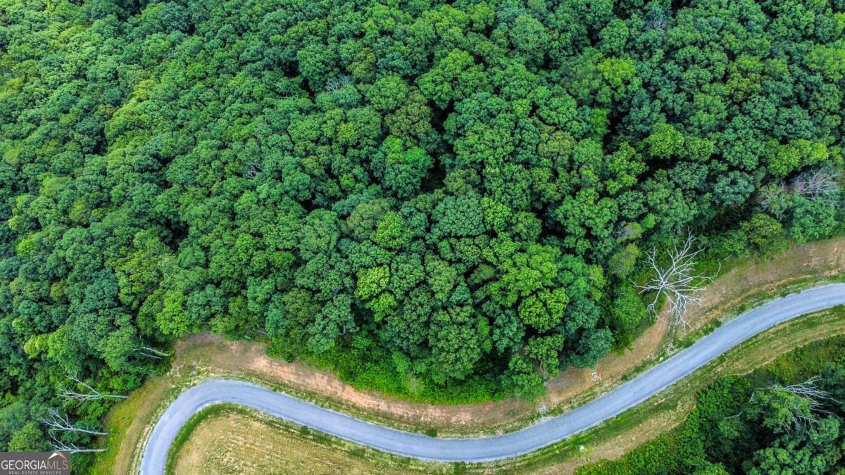 Lot 56 High Summit Drive Talking Rock GA 30175