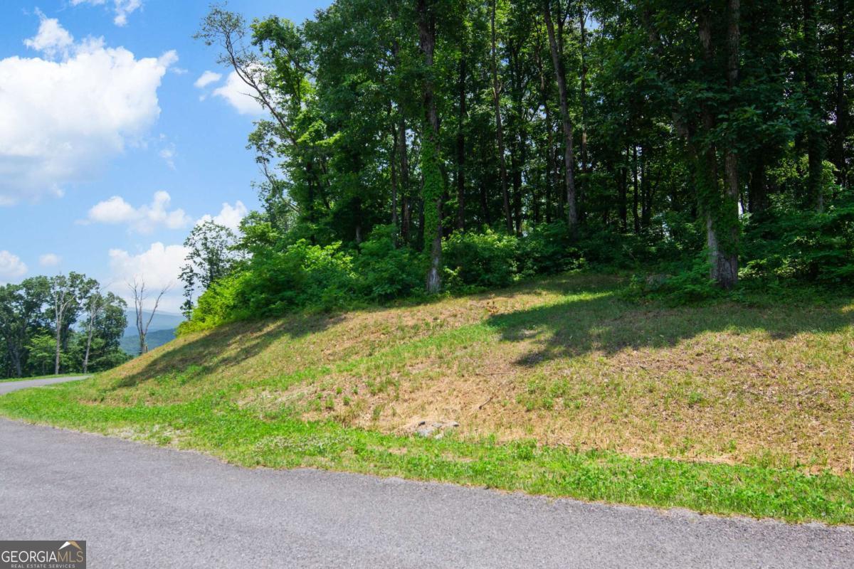 Lot 56 High Summit Drive Talking Rock GA 30175