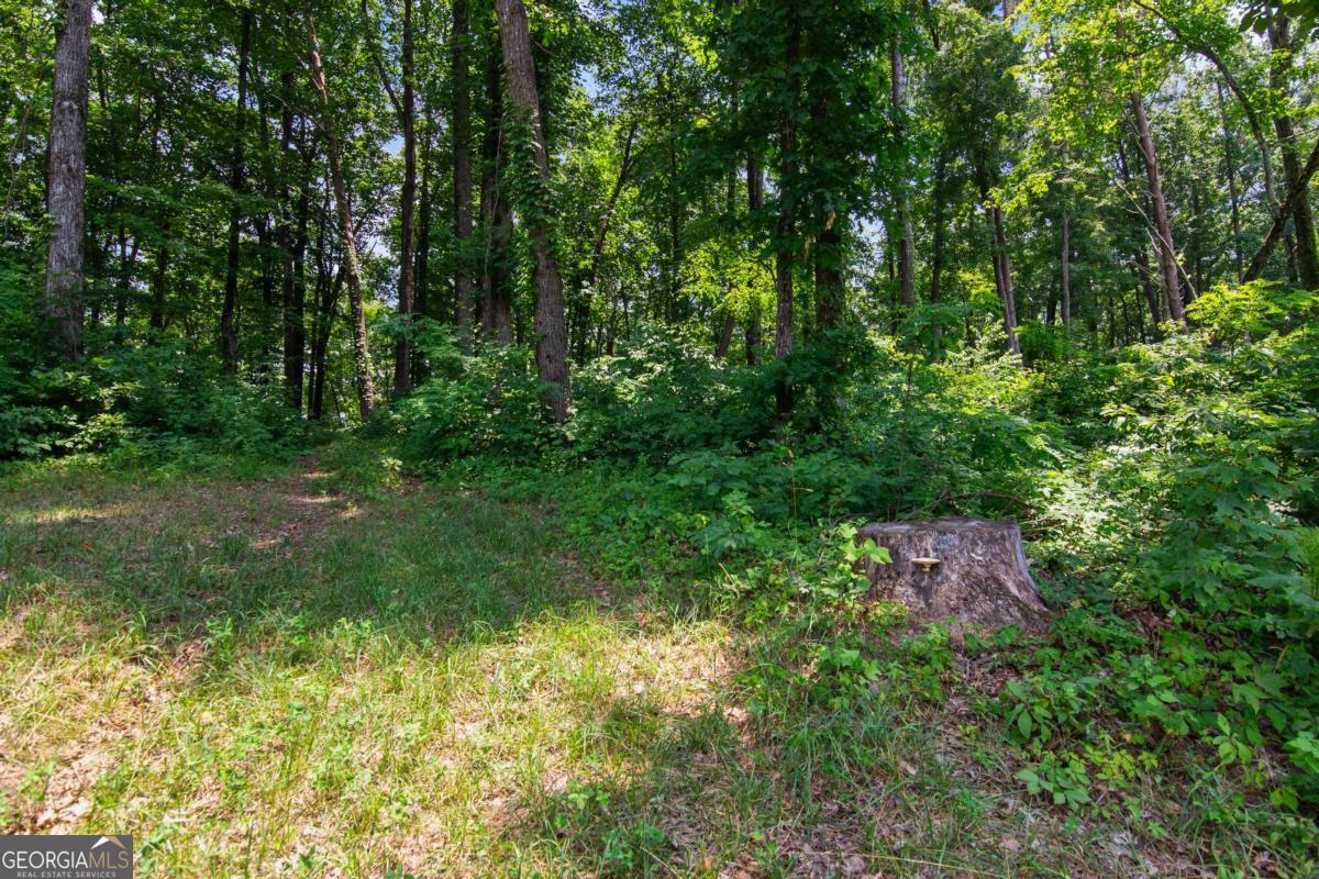 Lot 56 High Summit Drive Talking Rock GA 30175