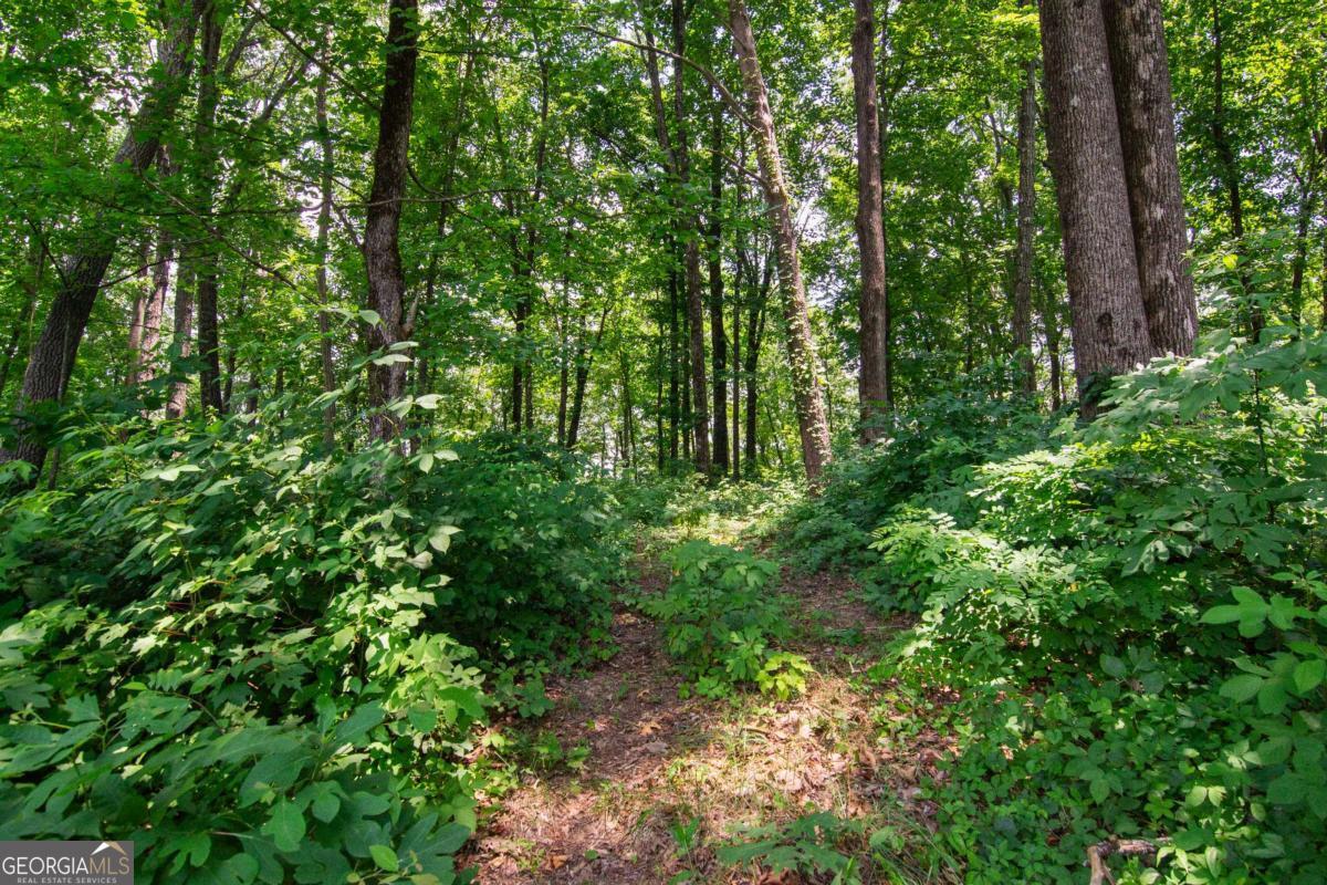 Lot 56 High Summit Drive Talking Rock GA 30175