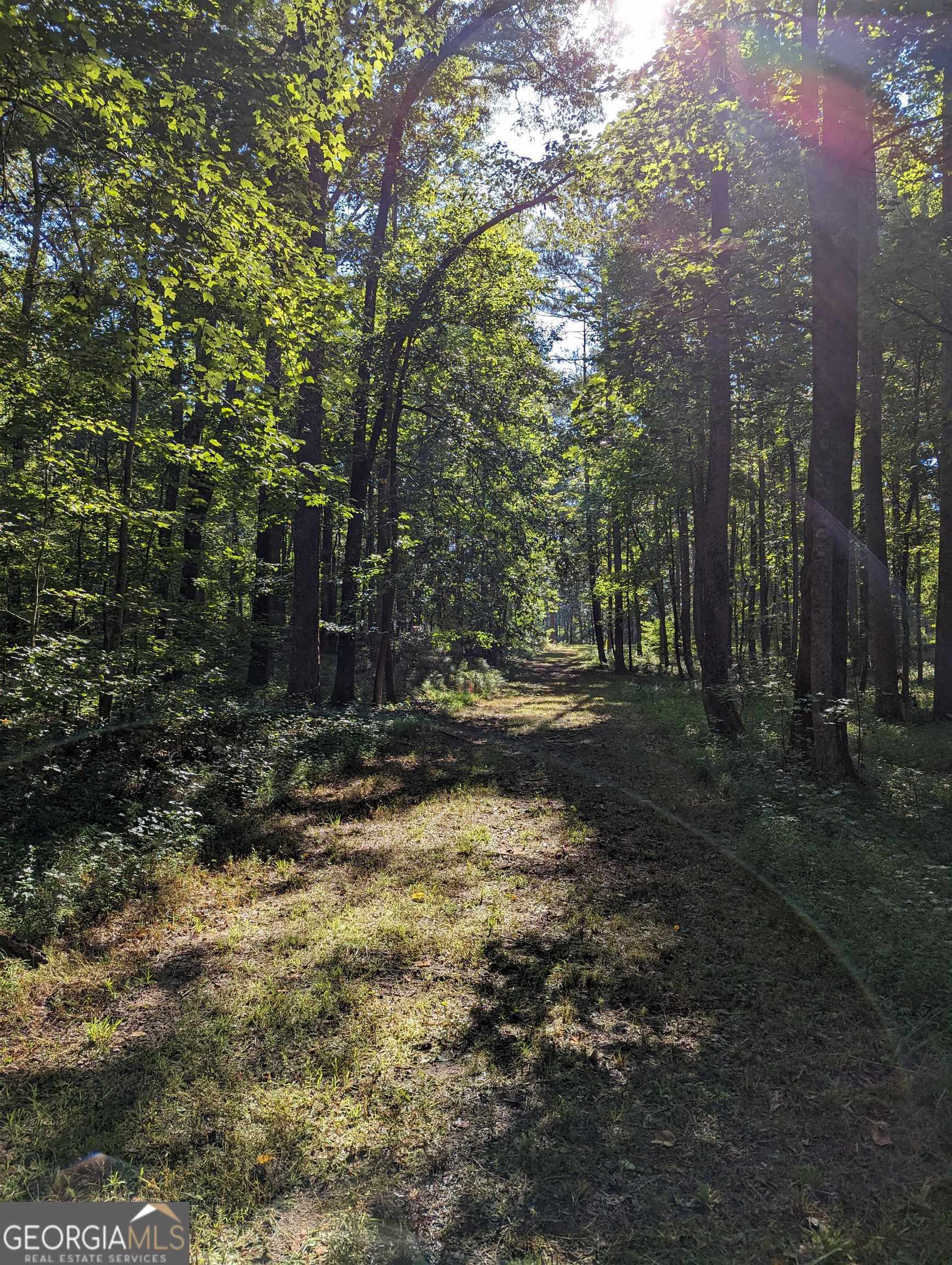 Lot 1 Joe Roberts Road Newnan GA 30263