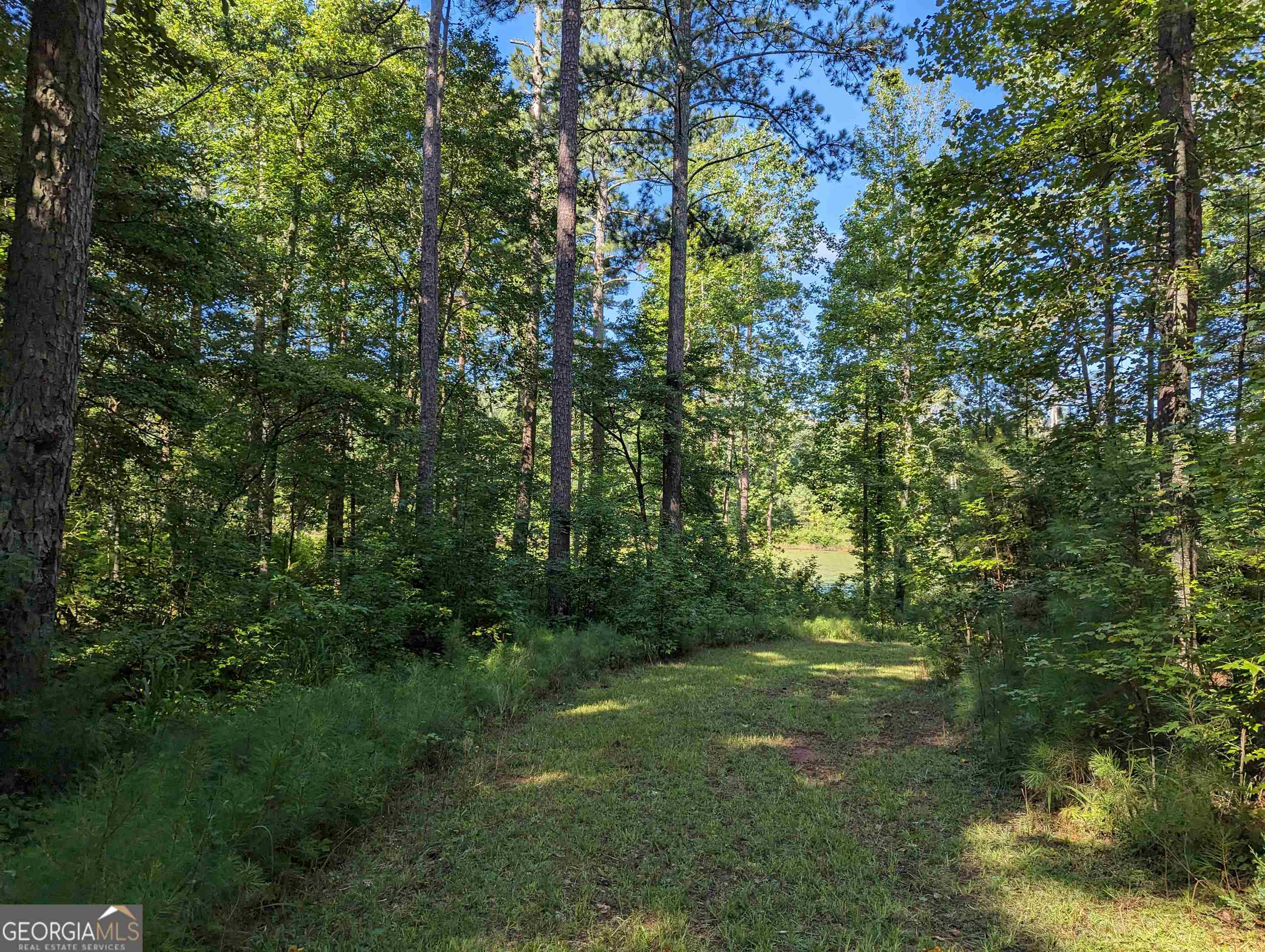 Lot 1 Joe Roberts Road Newnan GA 30263