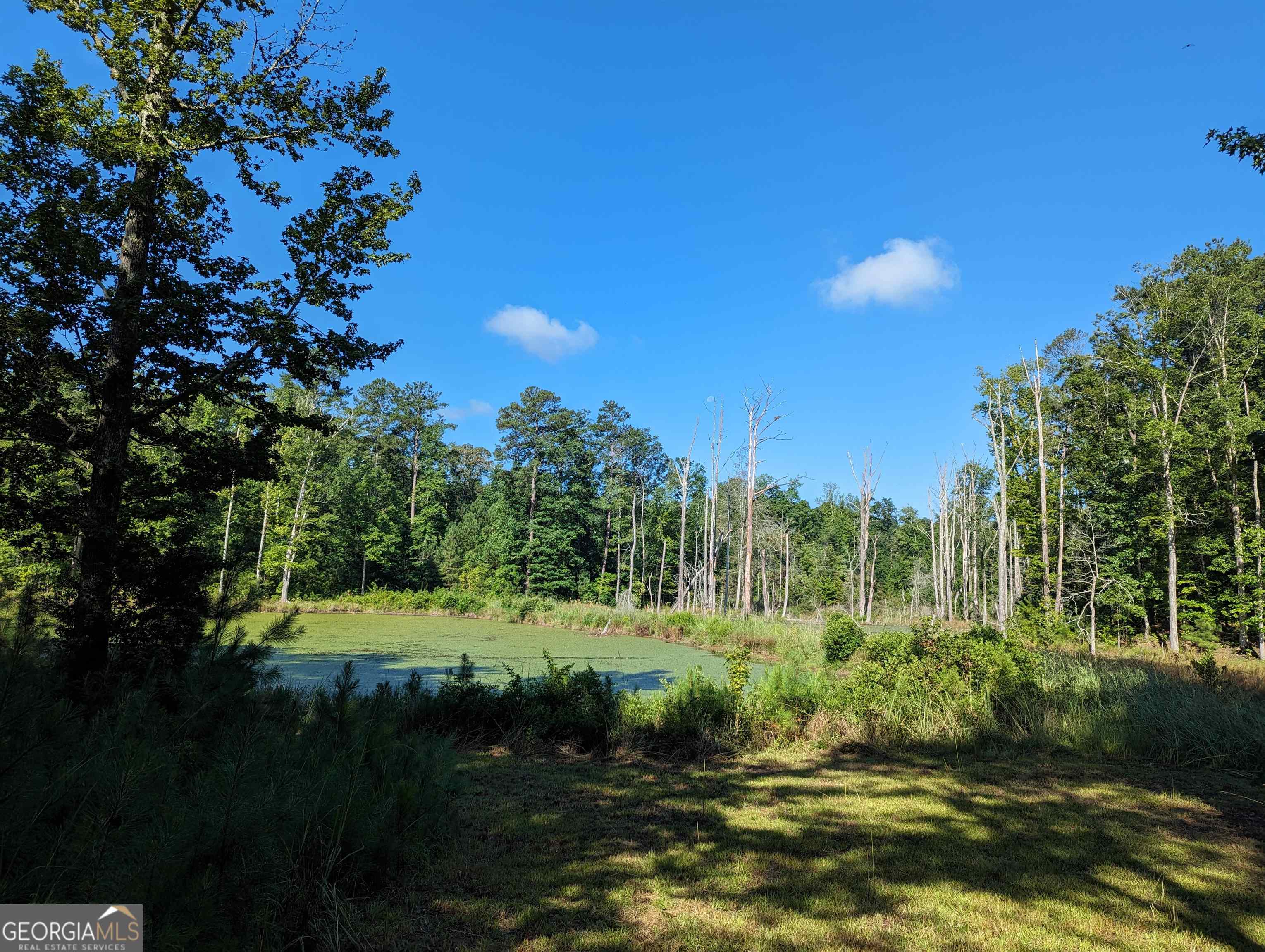 Lot 1 Joe Roberts Road Newnan GA 30263