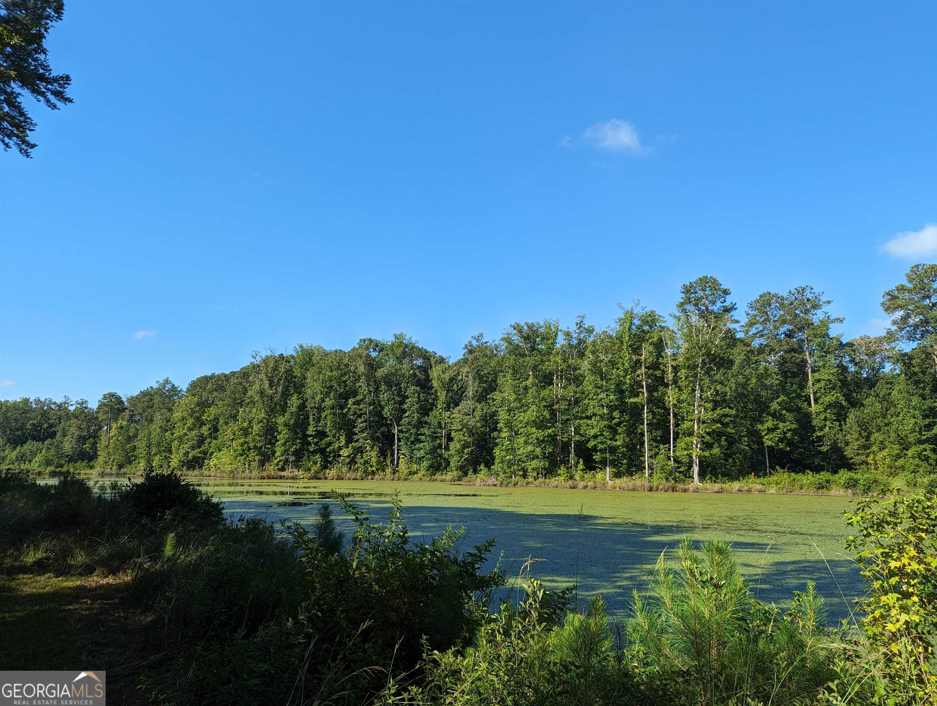 Lot 1 Joe Roberts Road Newnan GA 30263