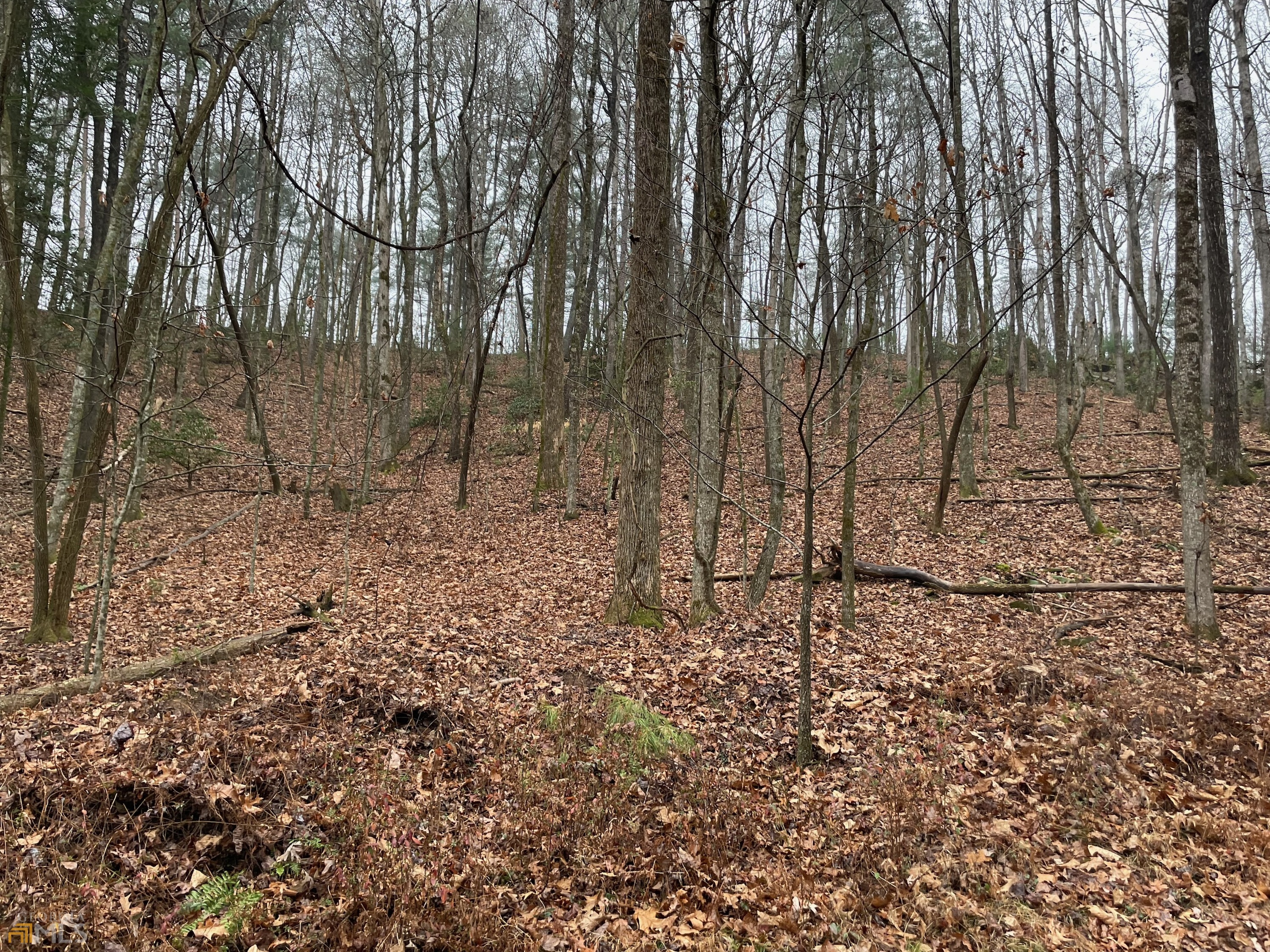 0 Walhalla Court Ellijay GA 30540
