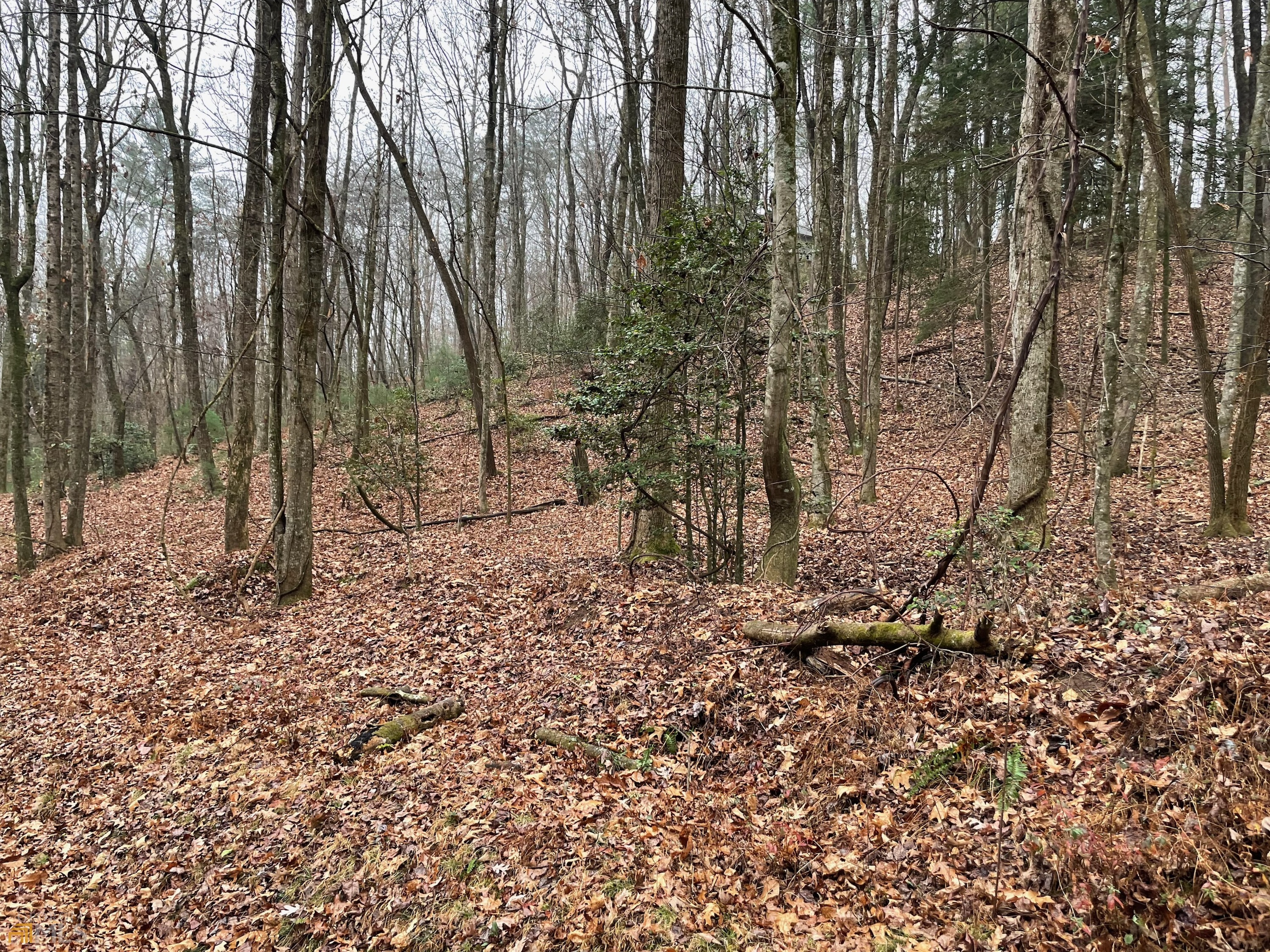 0 Walhalla Court Ellijay GA 30540