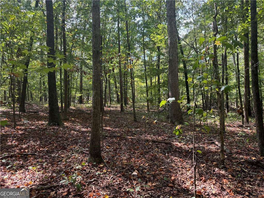 348 Pat Rich Drive Canton GA 30115