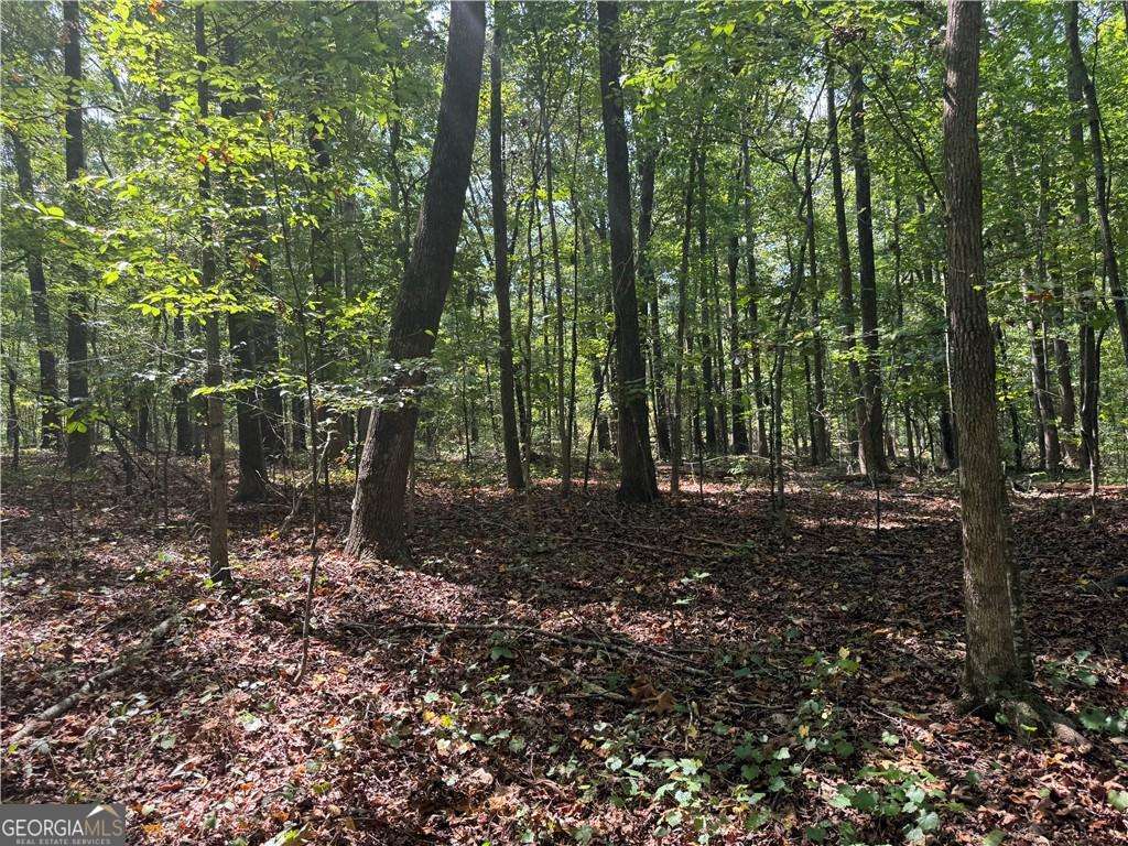 348 Pat Rich Drive Canton GA 30115