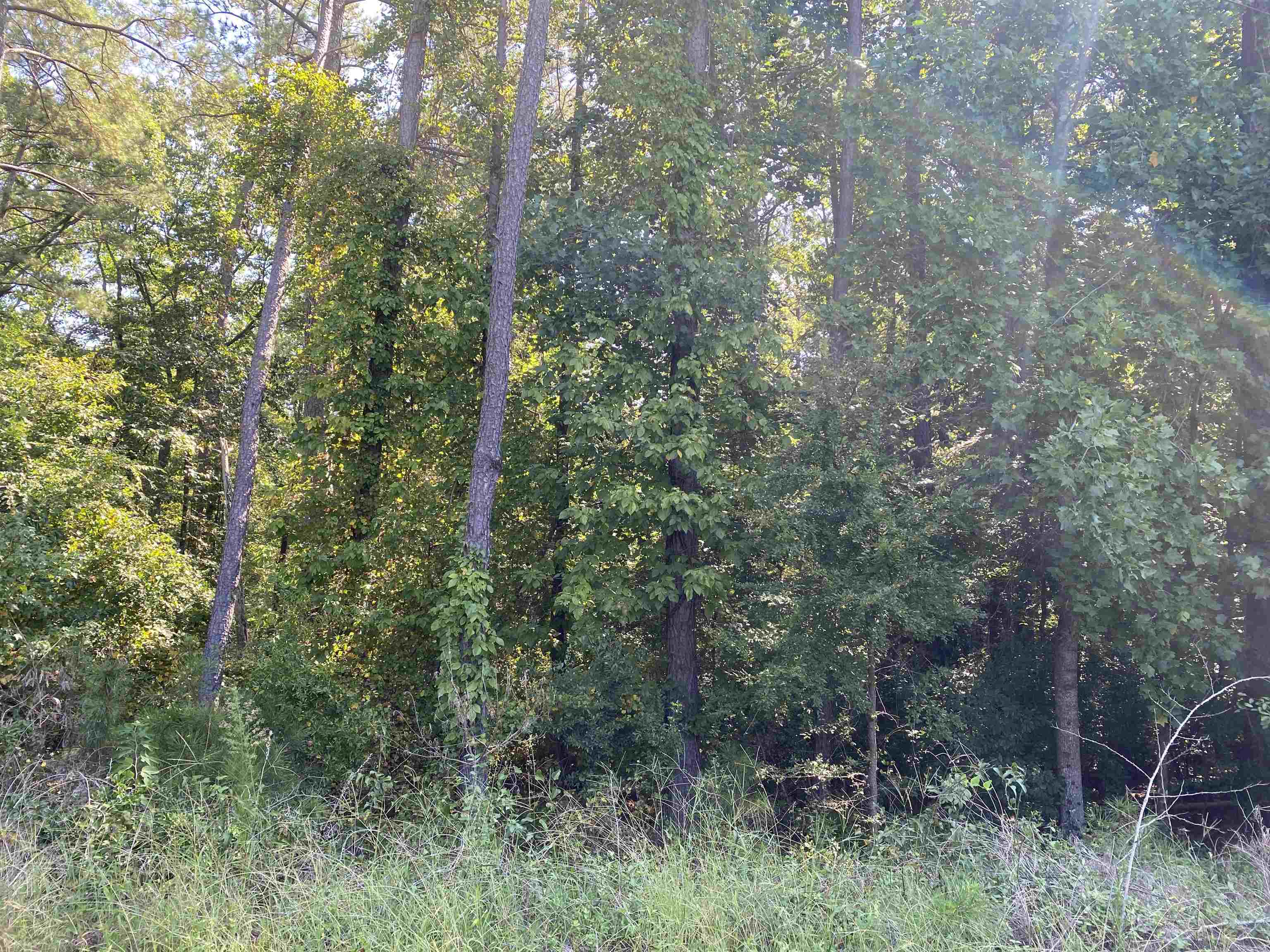 0 Lakewood Northeast Way Conyers GA 30012