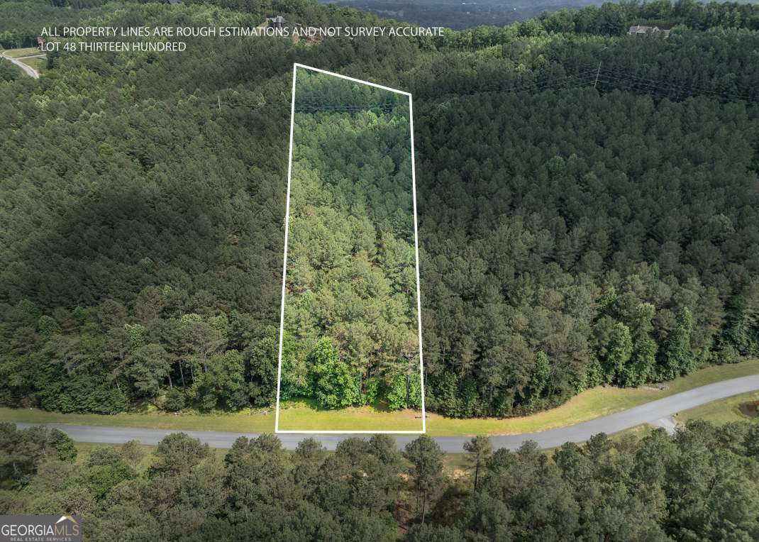 Lot 48 Thirteen Hundred Blairsville GA 30512