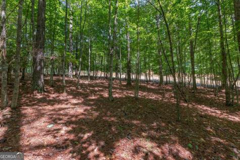 Lot 48 Thirteen Hundred Blairsville GA 30512