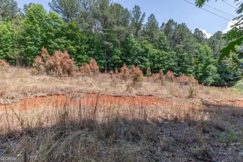 Lot 48 Thirteen Hundred Blairsville GA 30512