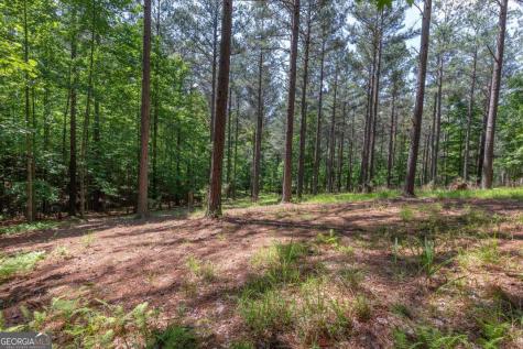 Lot 48 Thirteen Hundred Blairsville GA 30512