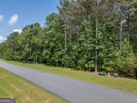 Lot 48 Thirteen Hundred Blairsville GA 30512