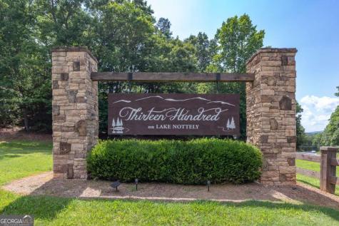 Lot 48 Thirteen Hundred Blairsville GA 30512