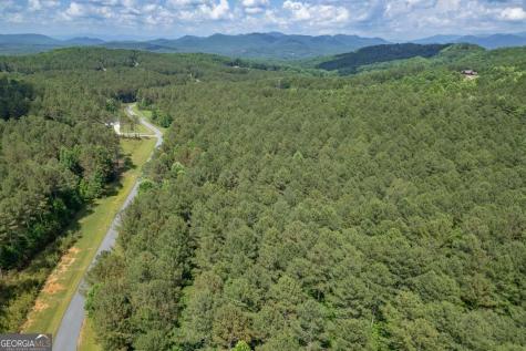 Lot 48 Thirteen Hundred Blairsville GA 30512