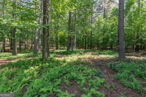 Lot 48 Thirteen Hundred Blairsville GA 30512