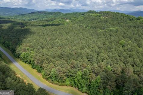 Lot 48 Thirteen Hundred Blairsville GA 30512