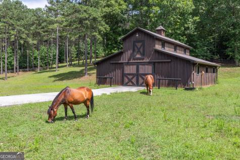 Lot 48 Thirteen Hundred Blairsville GA 30512
