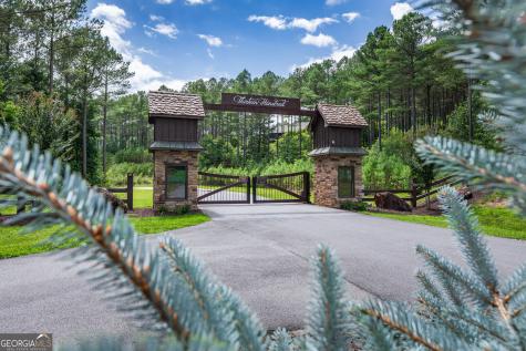 Lot 48 Thirteen Hundred Blairsville GA 30512