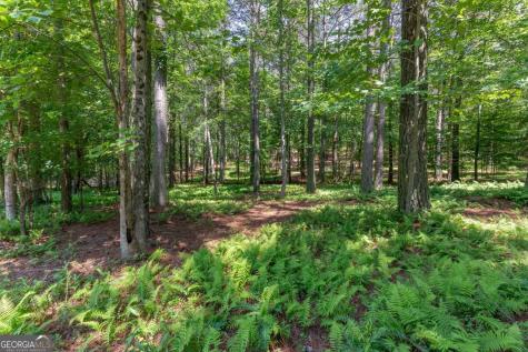 Lot 48 Thirteen Hundred Blairsville GA 30512
