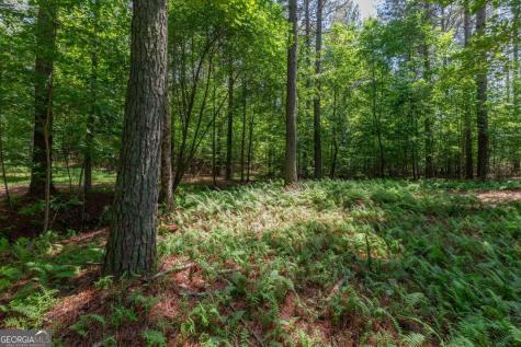Lot 48 Thirteen Hundred Blairsville GA 30512