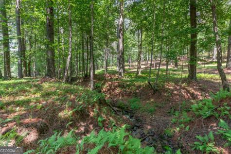Lot 48 Thirteen Hundred Blairsville GA 30512