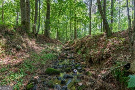 Lot 48 Thirteen Hundred Blairsville GA 30512