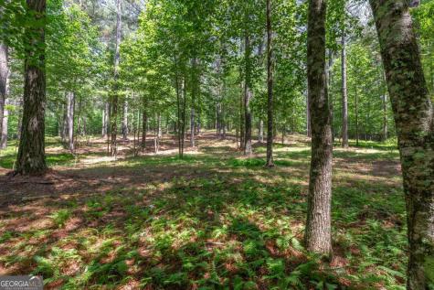 Lot 48 Thirteen Hundred Blairsville GA 30512