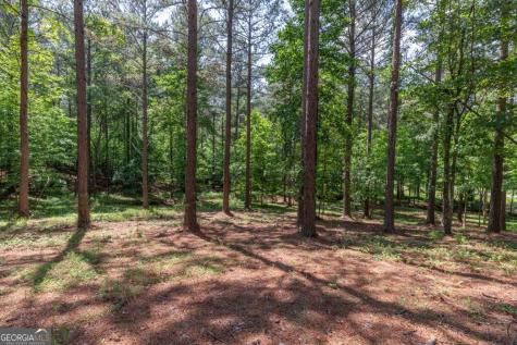 Lot 48 Thirteen Hundred Blairsville GA 30512