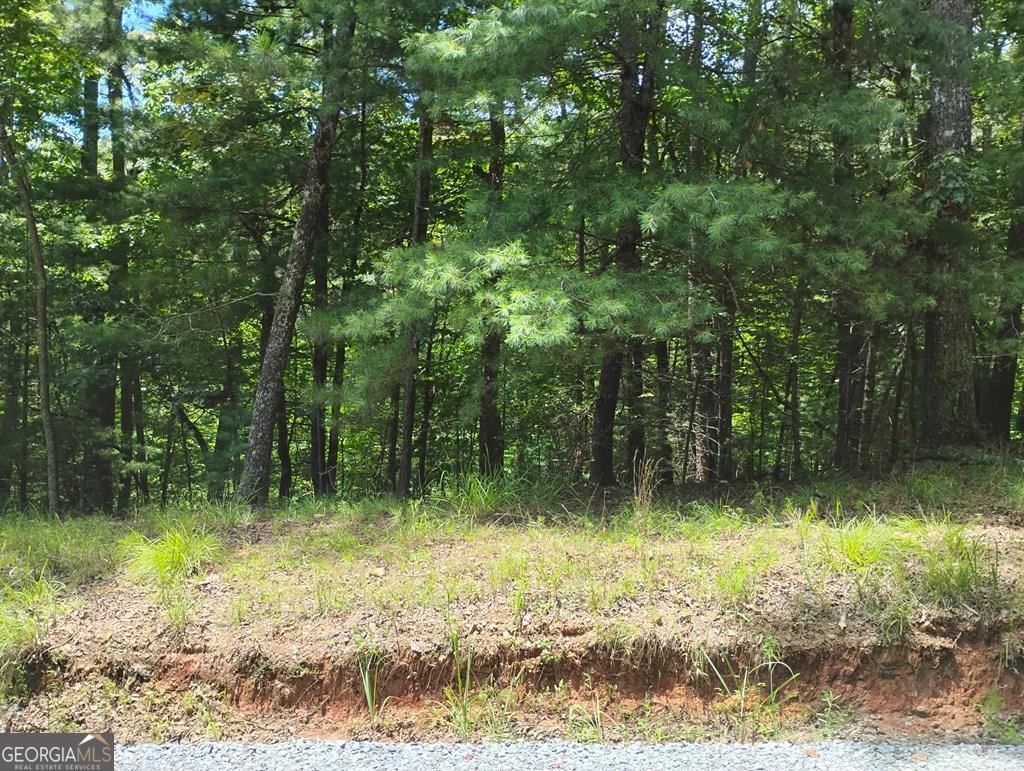 0 Crystal Lane Ellijay GA 30540
