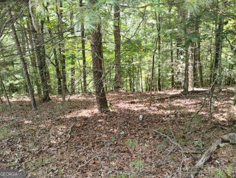0 Crystal Lane Ellijay GA 30540