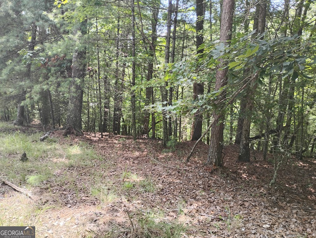 0 Crystal Lane Ellijay GA 30540