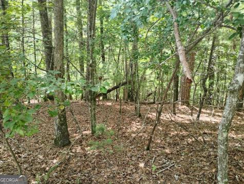 0 Crystal Lane Ellijay GA 30540